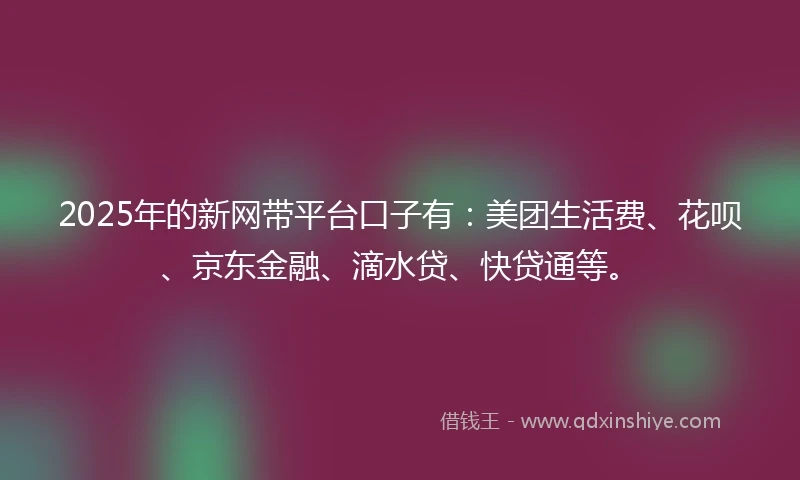 2025年的新网带平台口子有：美团生活费、花呗、京东金融、滴水贷、快贷通等。