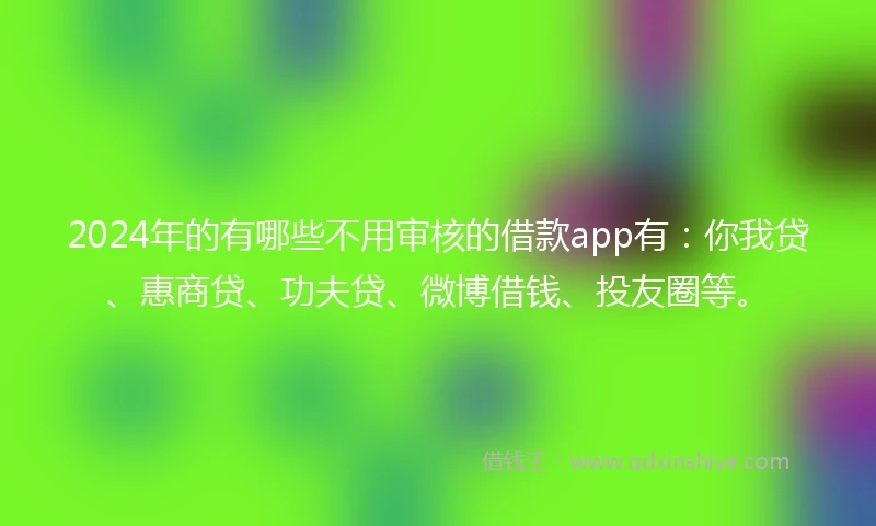 2024年的有哪些不用审核的借款app有：你我贷、惠商贷、功夫贷、微博借钱、投友圈等。