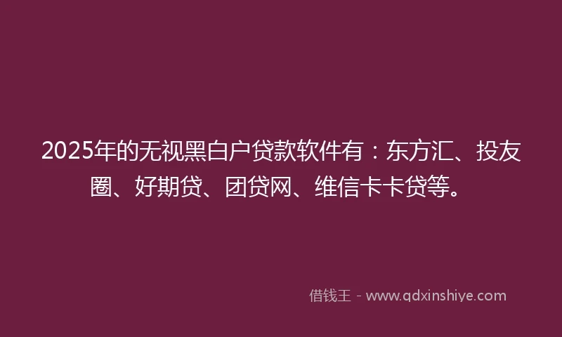 2025年的无视黑白户贷款软件有：东方汇、投友圈、好期贷、团贷网、维信卡卡贷等。