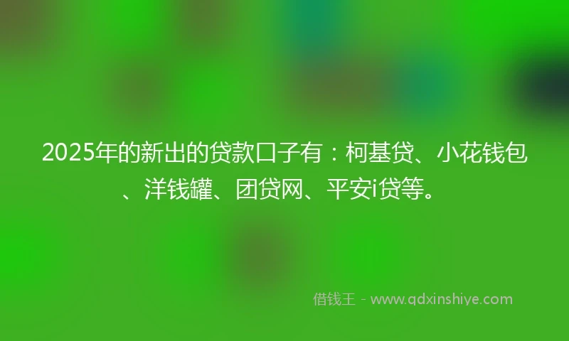 2025年的新出的贷款口子有：柯基贷、小花钱包、洋钱罐、团贷网、平安i贷等。