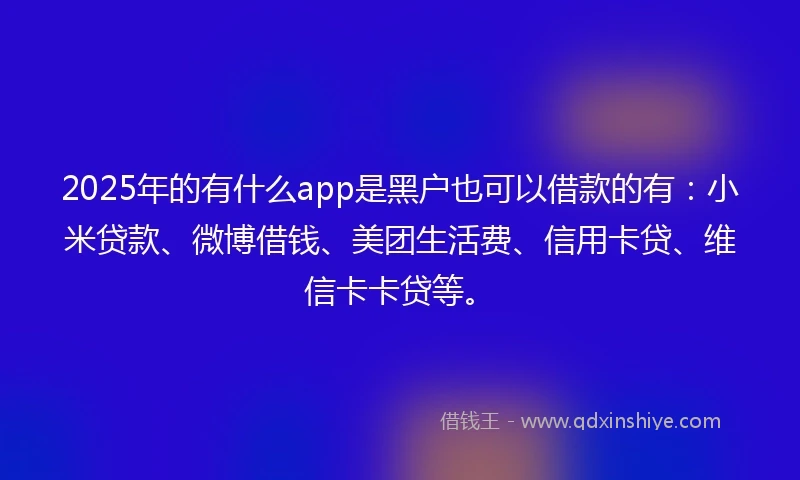2025年的有什么app是黑户也可以借款的有：小米贷款、微博借钱、美团生活费、信用卡贷、维信卡卡贷等。