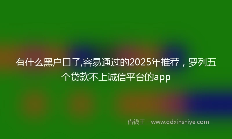 有什么黑户口子,容易通过的2025年推荐，罗列五个贷款不上诚信平台的app