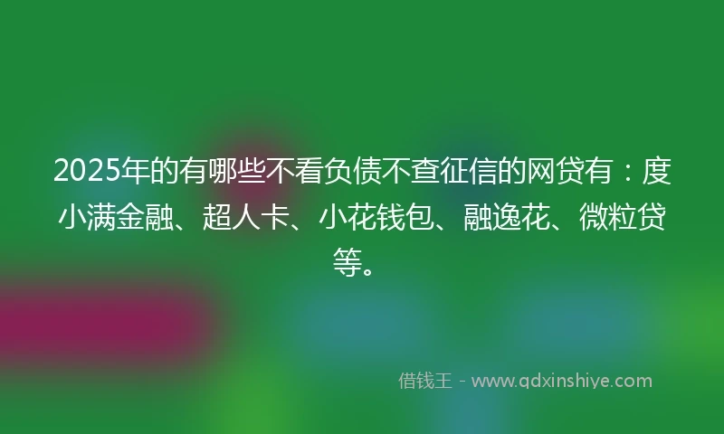 2025年的有哪些不看负债不查征信的网贷有：度小满金融、超人卡、小花钱包、融逸花、微粒贷等。