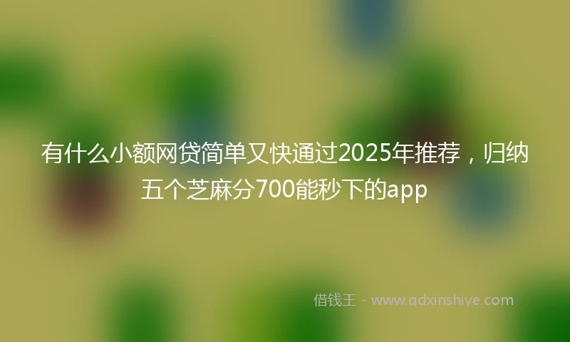 有什么小额网贷简单又快通过2025年推荐，归纳五个芝麻分700能秒下的app