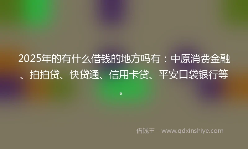 2025年的有什么借钱的地方吗有：中原消费金融、拍拍贷、快贷通、信用卡贷、平安口袋银行等。