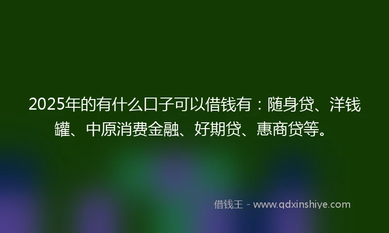 2025年的有什么口子可以借钱有：随身贷、洋钱罐、中原消费金融、好期贷、惠商贷等。