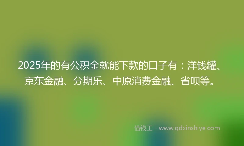 2025年的有公积金就能下款的口子有：洋钱罐、京东金融、分期乐、中原消费金融、省呗等。