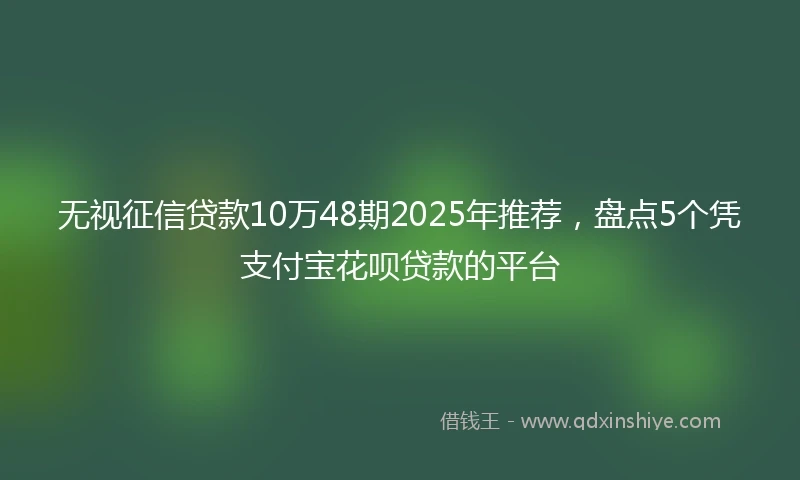无视征信贷款10万48期2025年推荐，盘点5个凭支付宝花呗贷款的平台