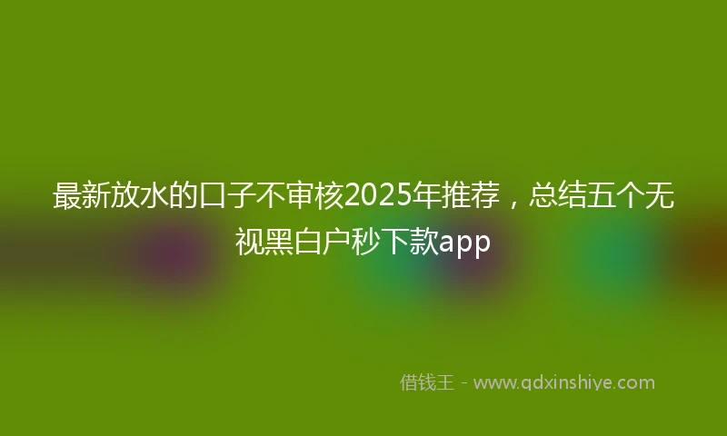 最新放水的口子不审核2025年推荐，总结五个无视黑白户秒下款app