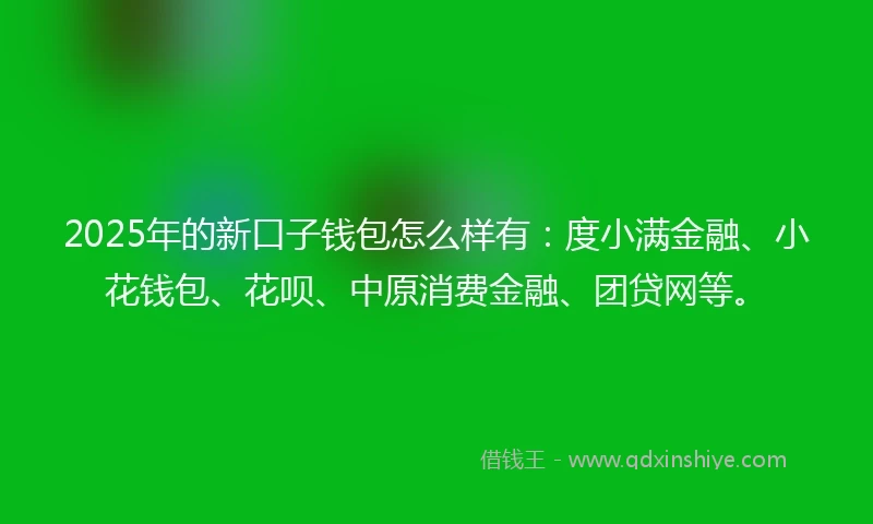 2025年的新口子钱包怎么样有：度小满金融、小花钱包、花呗、中原消费金融、团贷网等。