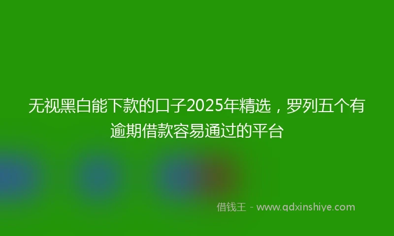 无视黑白能下款的口子2025年精选，罗列五个有逾期借款容易通过的平台
