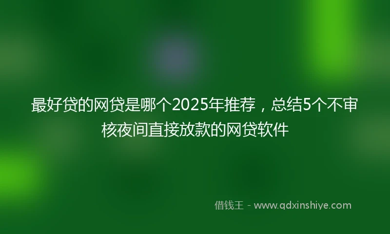 最好贷的网贷是哪个2025年推荐，总结5个不审核夜间直接放款的网贷软件