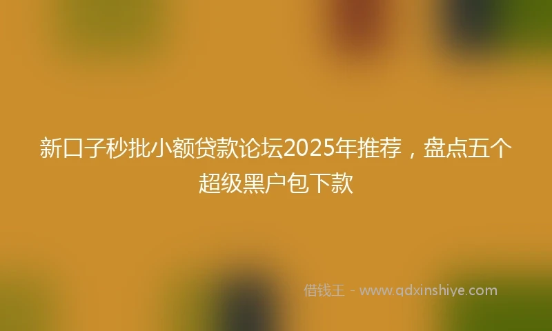 新口子秒批小额贷款论坛2025年推荐，盘点五个超级黑户包下款