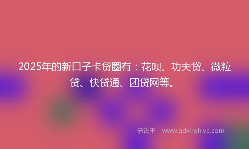 2025年的新口子卡贷圈有：花呗、功夫贷、微粒贷、快贷通、团贷网等。