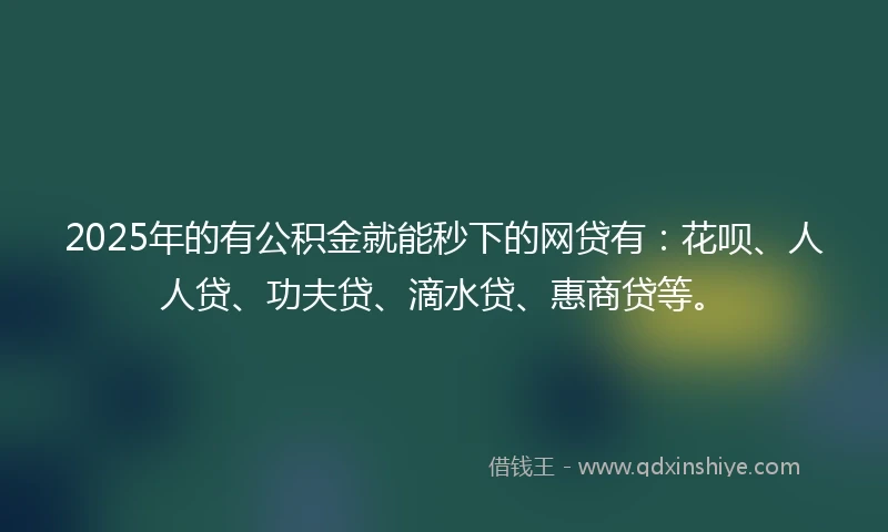 2025年的有公积金就能秒下的网贷有：花呗、人人贷、功夫贷、滴水贷、惠商贷等。