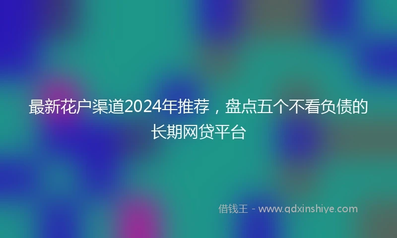 最新花户渠道2024年推荐，盘点五个不看负债的长期网贷平台