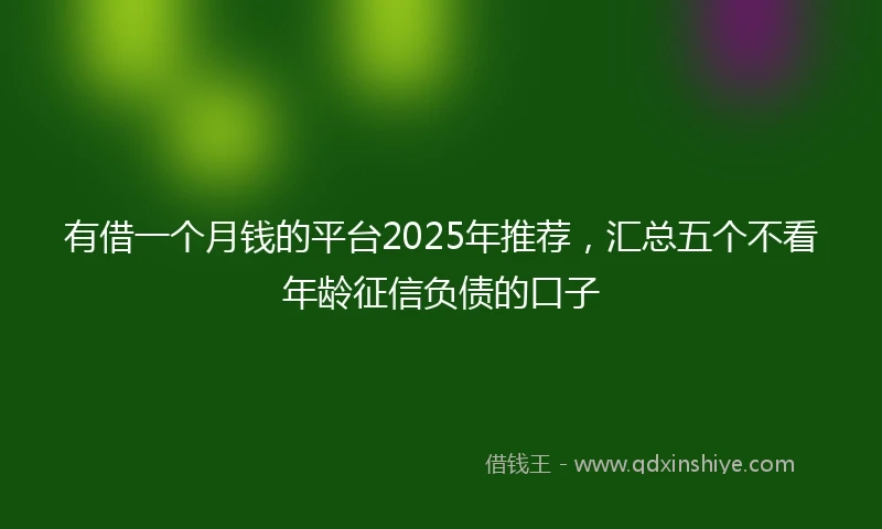 有借一个月钱的平台2025年推荐，汇总五个不看年龄征信负债的口子
