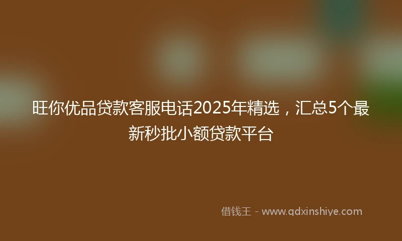 旺你优品贷款客服电话2025年精选，汇总5个最新秒批小额贷款平台