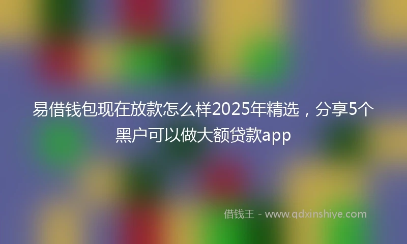 易借钱包现在放款怎么样2025年精选，分享5个黑户可以做大额贷款app