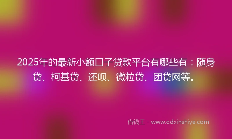 2025年的最新小额口子贷款平台有哪些有：随身贷、柯基贷、还呗、微粒贷、团贷网等。