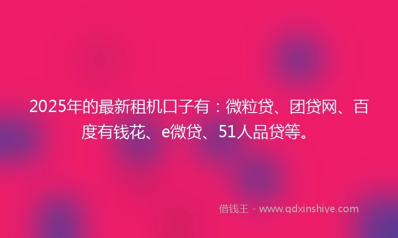 2025年的最新租机口子有：微粒贷、团贷网、百度有钱花、e微贷、51人品贷等。