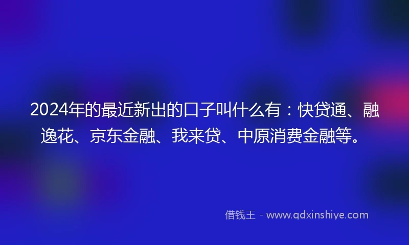 2024年的最近新出的口子叫什么有：快贷通、融逸花、京东金融、我来贷、中原消费金融等。