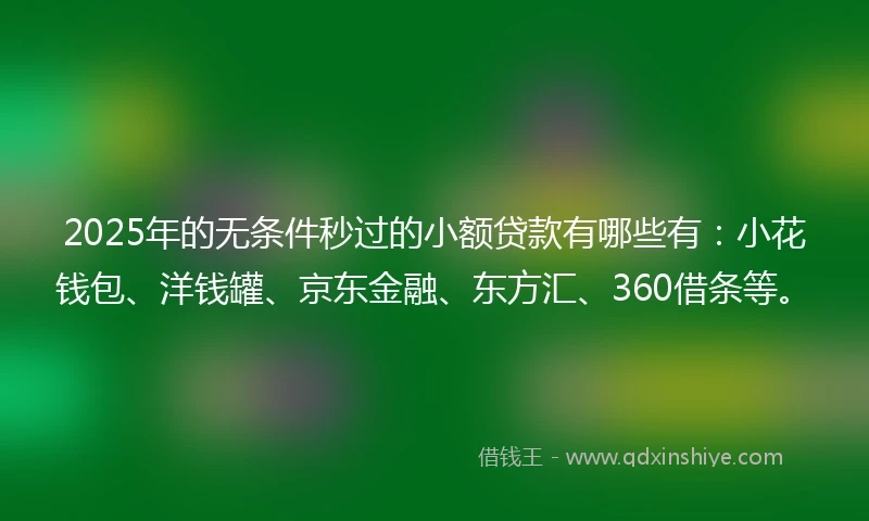2025年的无条件秒过的小额贷款有哪些有：小花钱包、洋钱罐、京东金融、东方汇、360借条等。