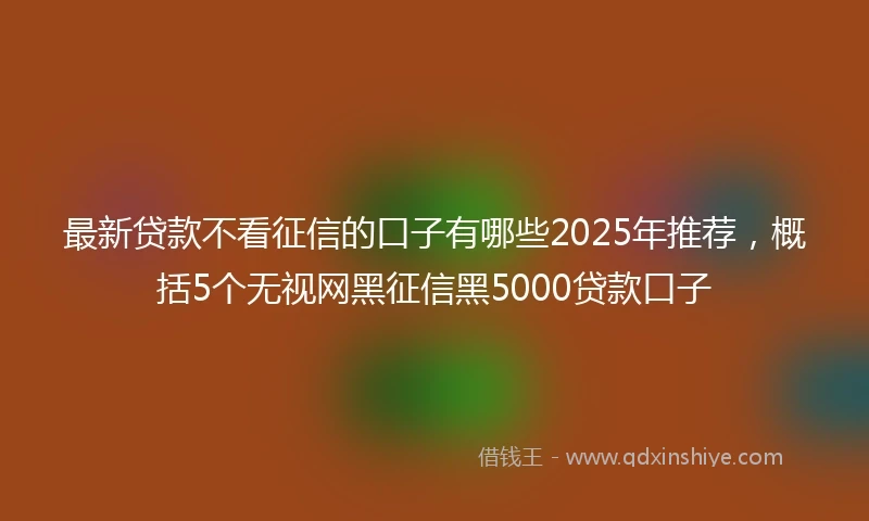 最新贷款不看征信的口子有哪些2025年推荐，概括5个无视网黑征信黑5000贷款口子