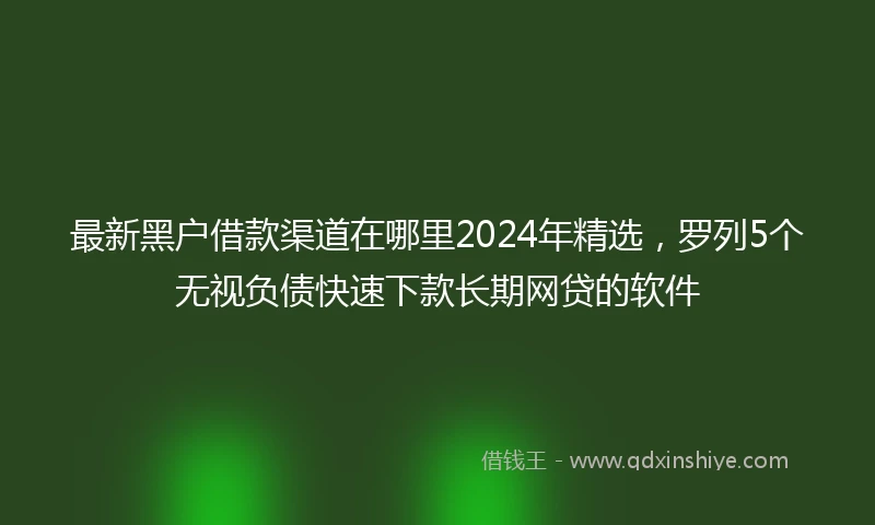 最新黑户借款渠道在哪里2024年精选，罗列5个无视负债快速下款长期网贷的软件