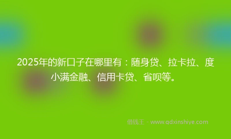 2025年的新口子在哪里有：随身贷、拉卡拉、度小满金融、信用卡贷、省呗等。