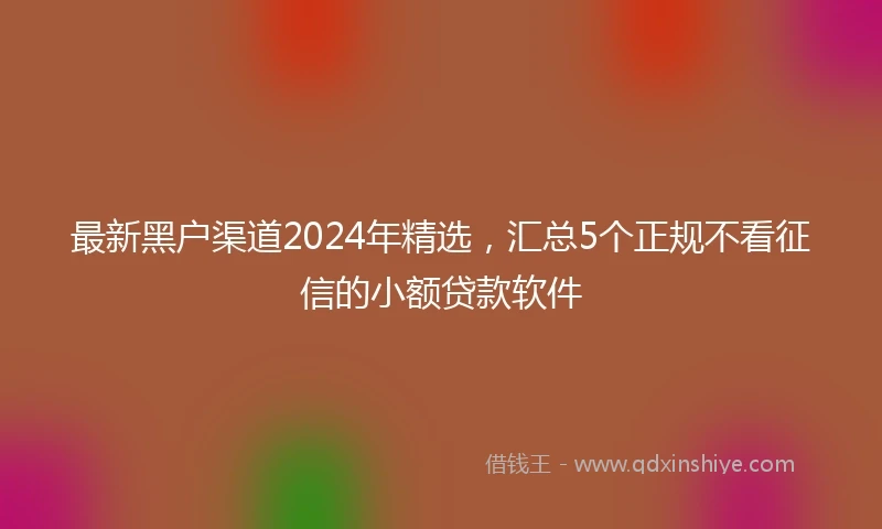 最新黑户渠道2024年精选，汇总5个正规不看征信的小额贷款软件