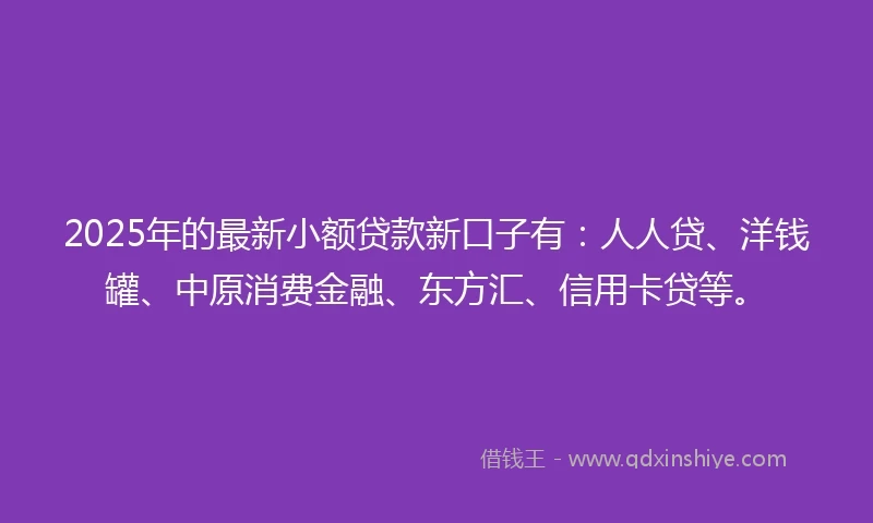 2025年的最新小额贷款新口子有：人人贷、洋钱罐、中原消费金融、东方汇、信用卡贷等。