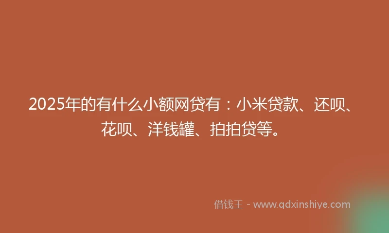 2025年的有什么小额网贷有：小米贷款、还呗、花呗、洋钱罐、拍拍贷等。