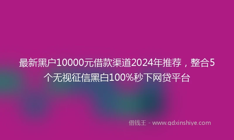 最新黑户10000元借款渠道2024年推荐，整合5个无视征信黑白100%秒下网贷平台