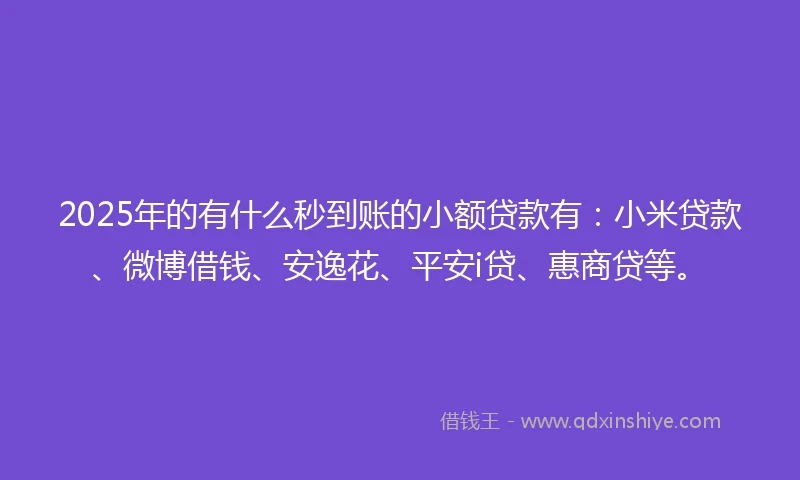 2025年的有什么秒到账的小额贷款有：小米贷款、微博借钱、安逸花、平安i贷、惠商贷等。