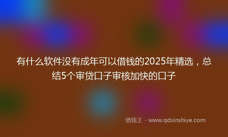 有什么软件没有成年可以借钱的2025年精选,总结5个审贷口子审核加快的口子