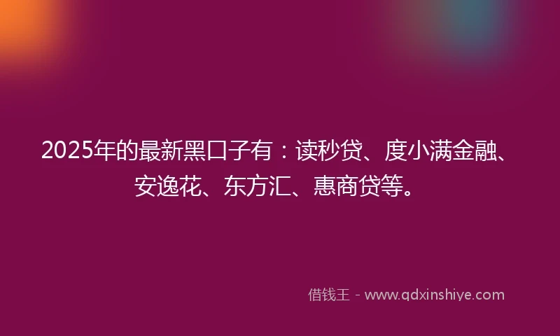 2025年的最新黑口子有：读秒贷、度小满金融、安逸花、东方汇、惠商贷等。