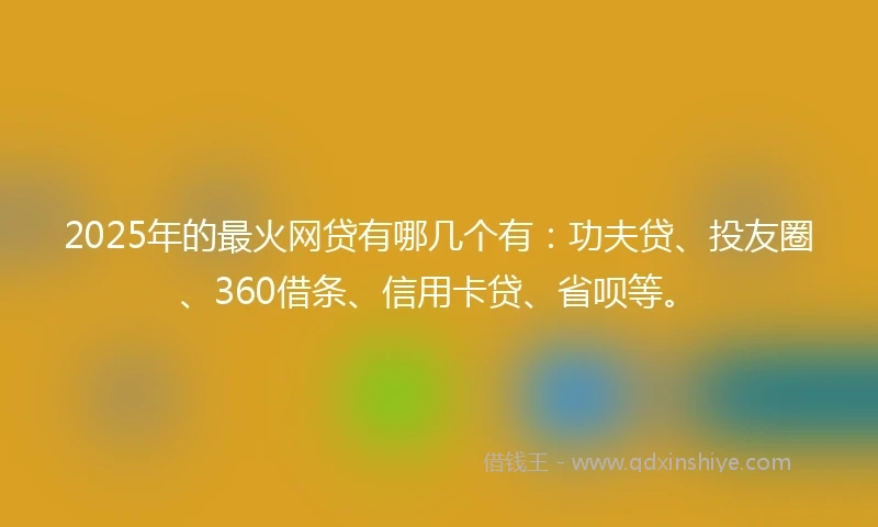 2025年的最火网贷有哪几个有：功夫贷、投友圈、360借条、信用卡贷、省呗等。
