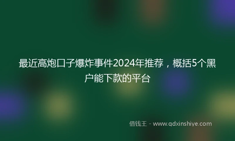 最近高炮口子爆炸事件2024年推荐,概括5个黑户能下款的平台