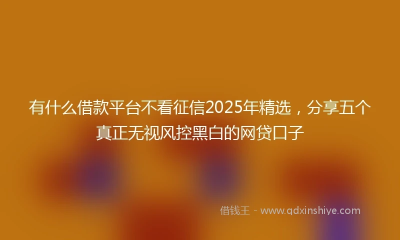 有什么借款平台不看征信2025年精选，分享五个真正无视风控黑白的网贷口子