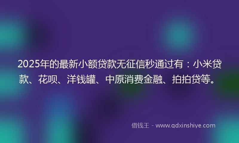 2025年的最新小额贷款无征信秒通过有：小米贷款、花呗、洋钱罐、中原消费金融、拍拍贷等。