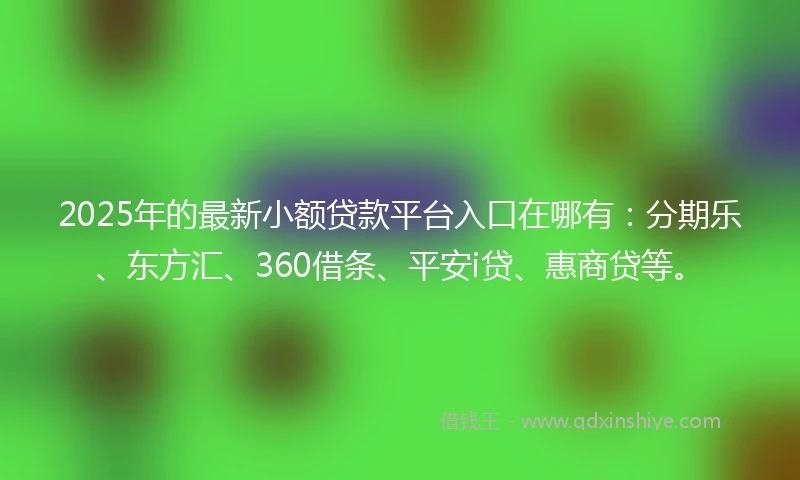 2025年的最新小额贷款平台入口在哪有：分期乐、东方汇、360借条、平安i贷、惠商贷等。