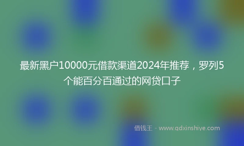 最新黑户10000元借款渠道2024年推荐，罗列5个能百分百通过的网贷口子
