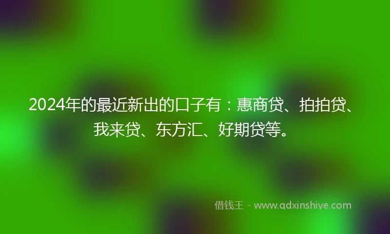 2024年的最近新出的口子有：惠商贷、拍拍贷、我来贷、东方汇、好期贷等。