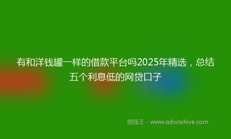 有和洋钱罐一样的借款平台吗2025年精选，总结五个利息低的网贷口子