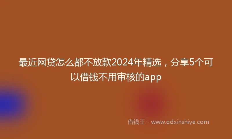 最近网贷怎么都不放款2024年精选，分享5个可以借钱不用审核的app