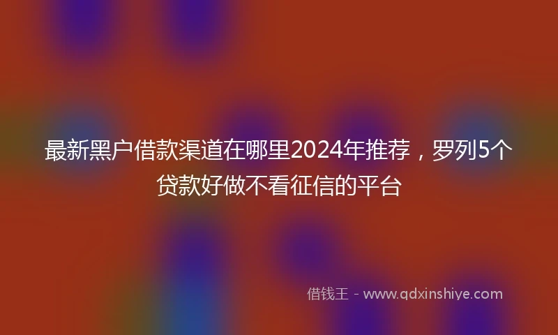 最新黑户借款渠道在哪里2024年推荐，罗列5个贷款好做不看征信的平台