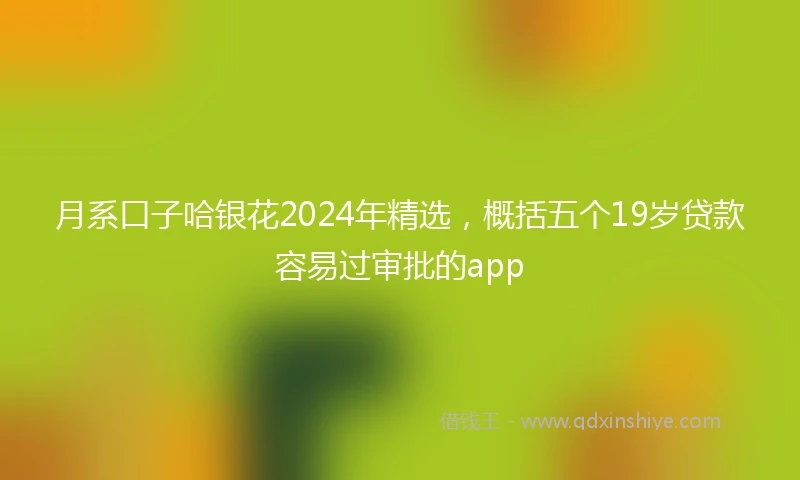 月系口子哈银花2024年精选，概括五个19岁贷款容易过审批的app