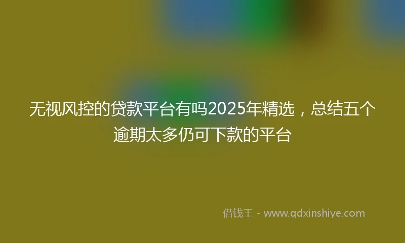 无视风控的贷款平台有吗2025年精选，总结五个逾期太多仍可下款的平台
