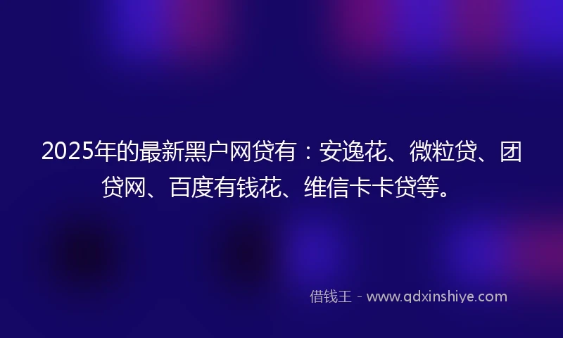 2025年的最新黑户网贷有：安逸花、微粒贷、团贷网、百度有钱花、维信卡卡贷等。
